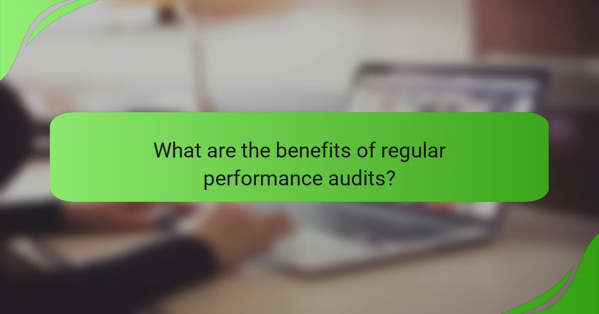 What are the benefits of regular performance audits?