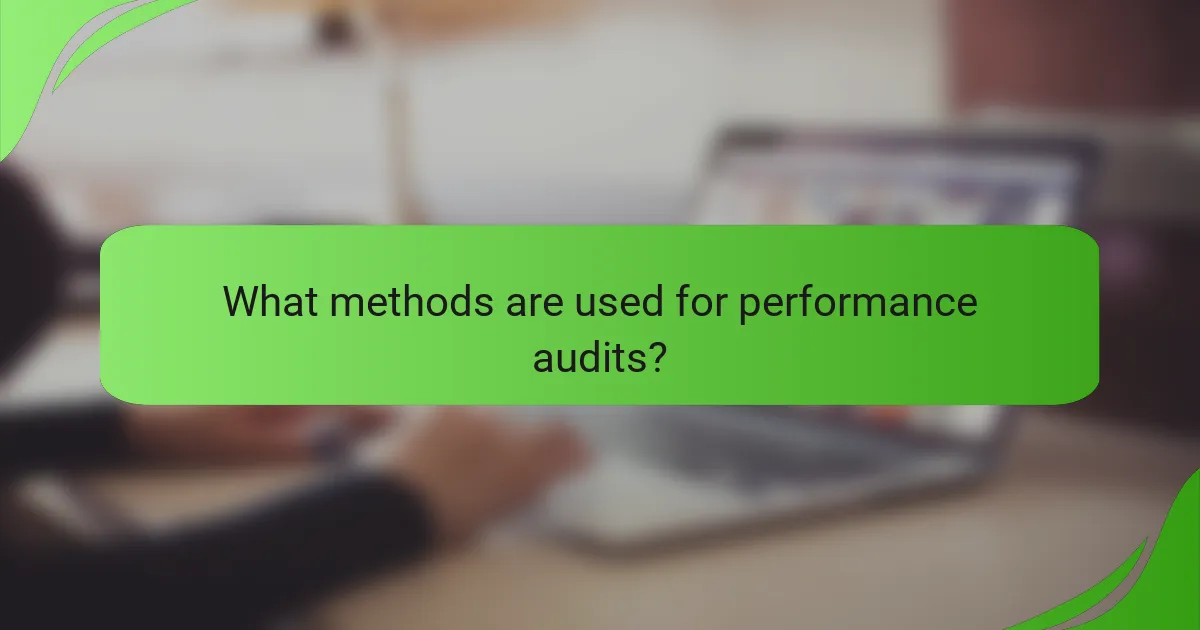 What methods are used for performance audits?